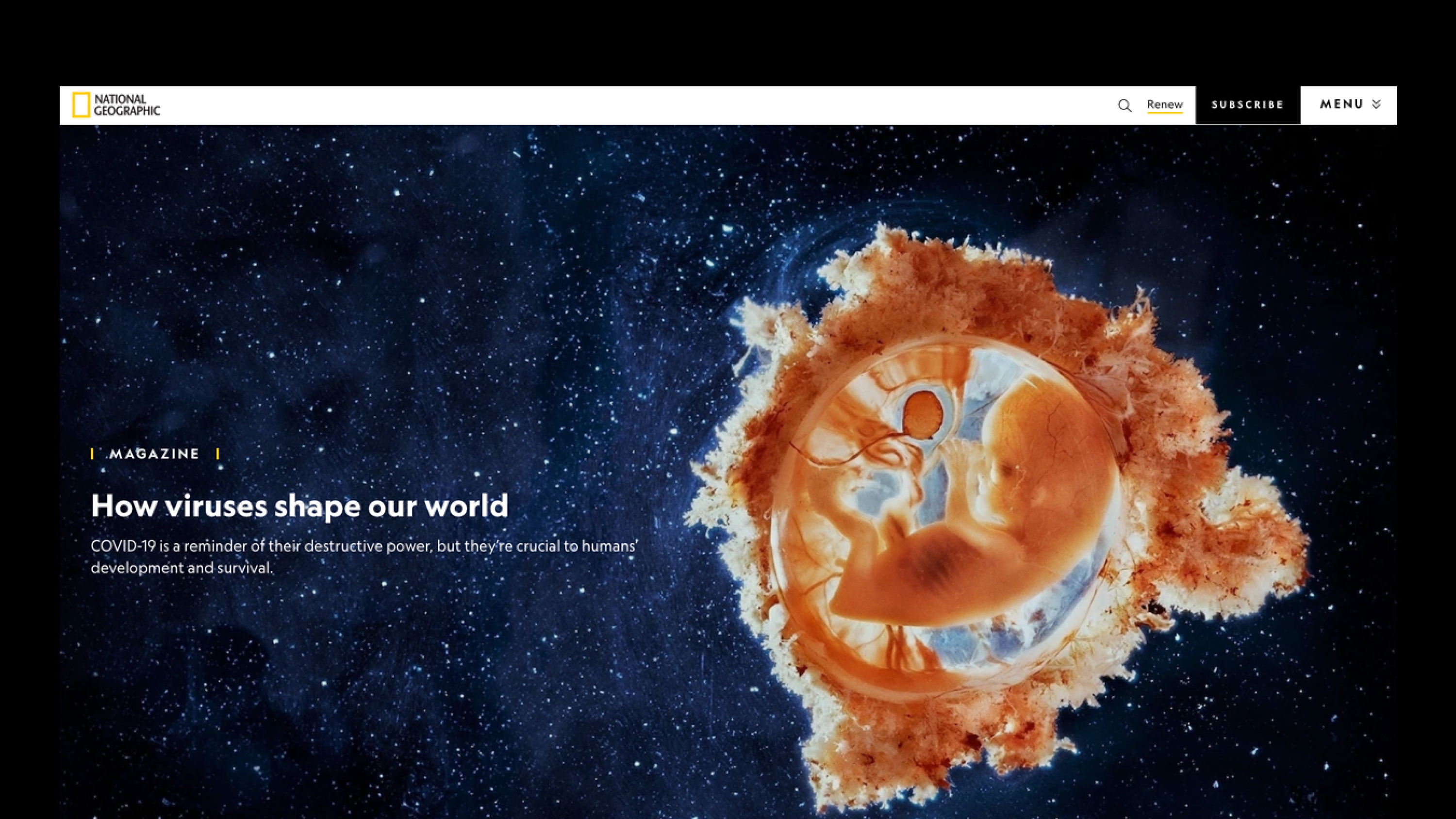National Geographic Website Screenshot