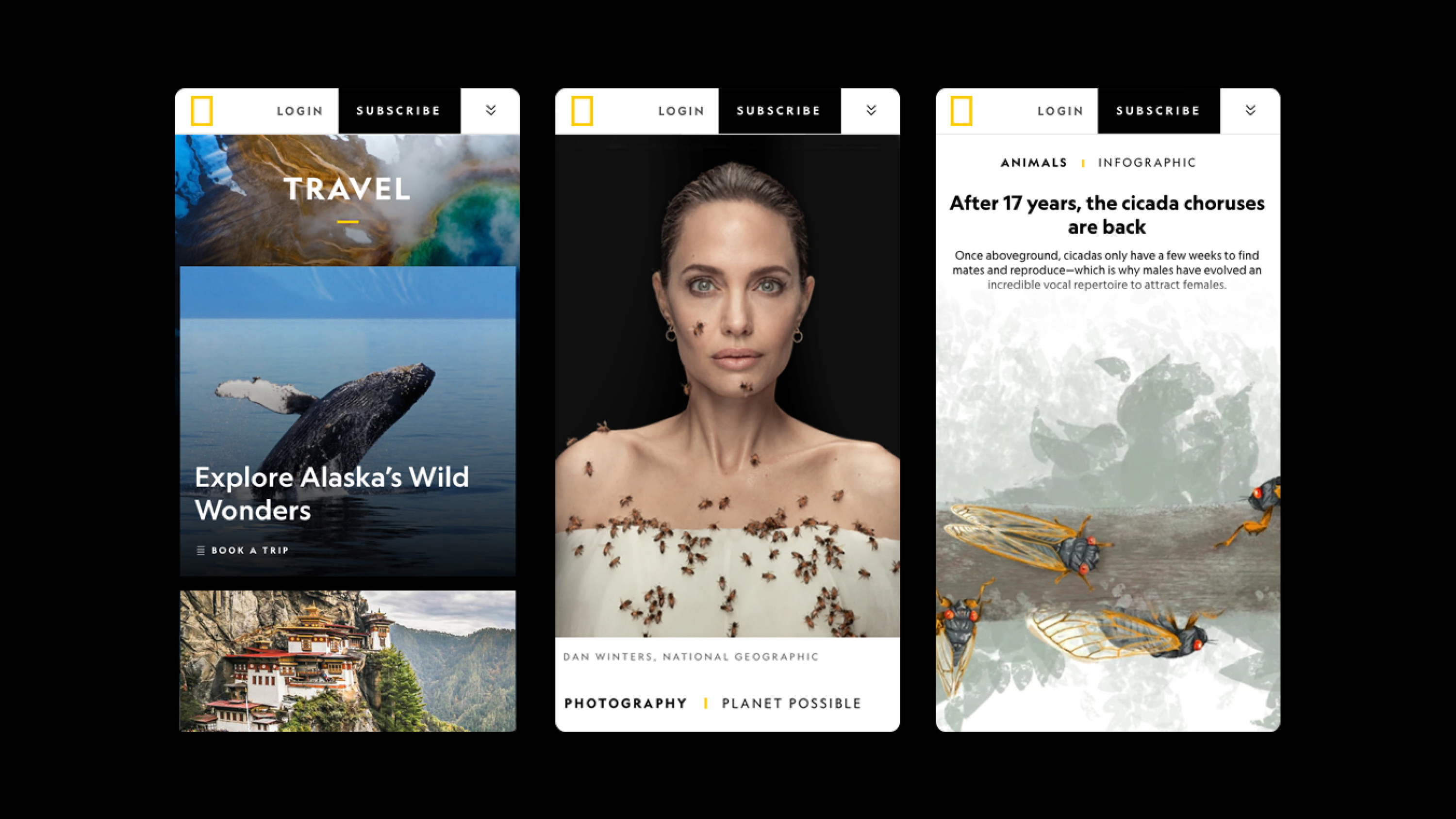 National Geographic Mobile Site Screenshot