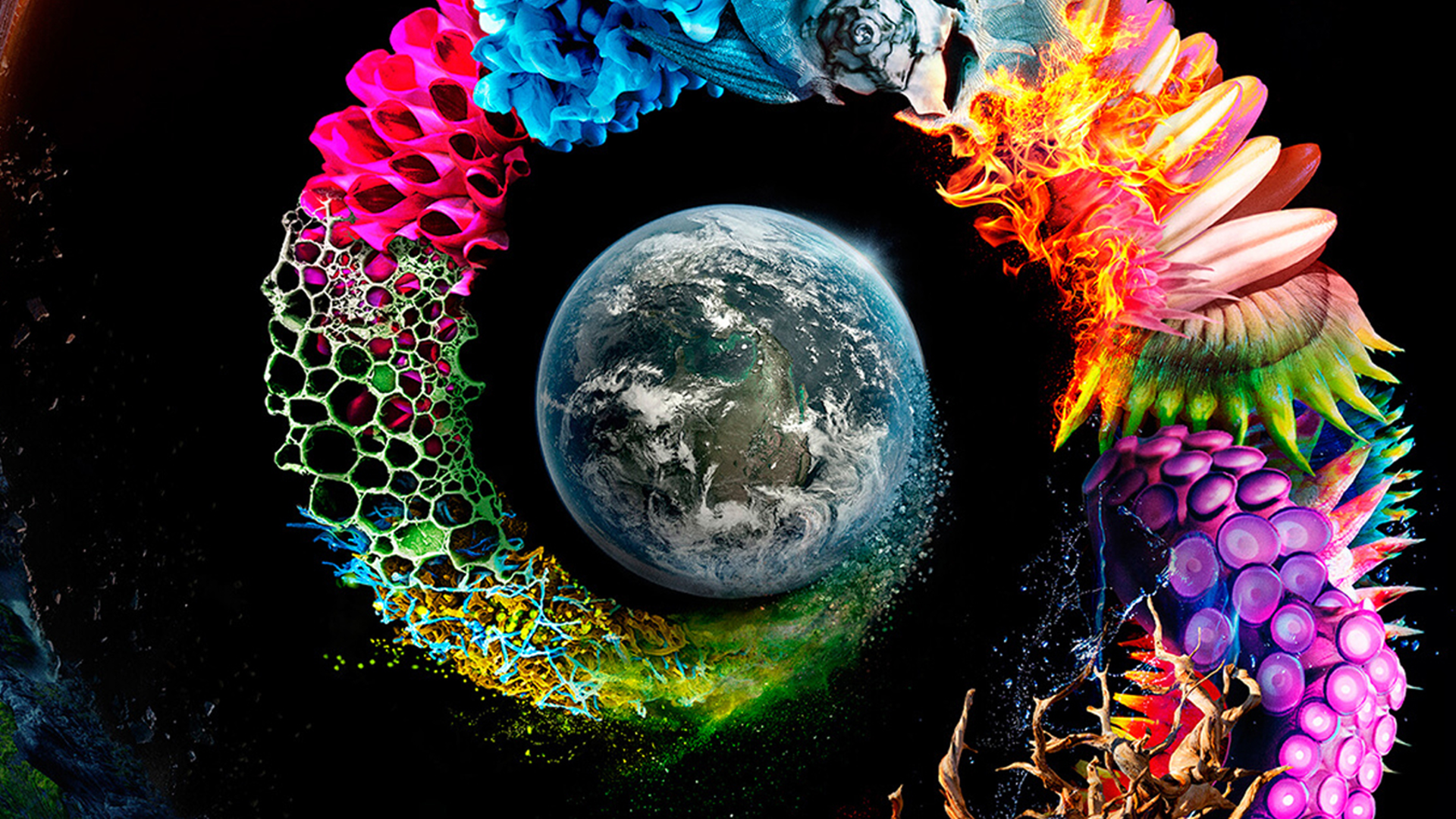 A graphic of the world