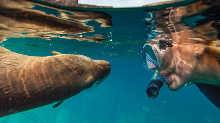 NatGeo